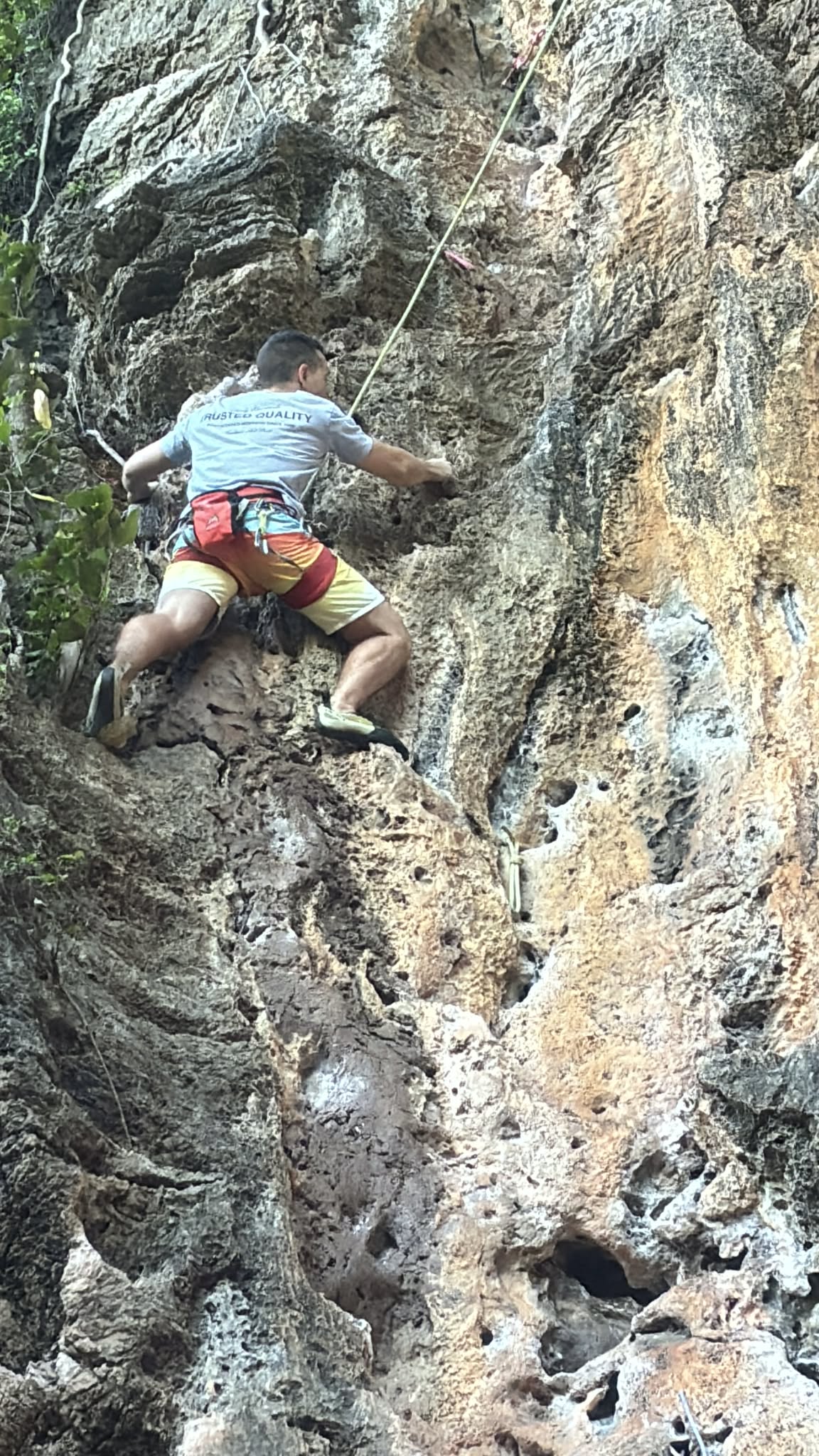 Private Guide
